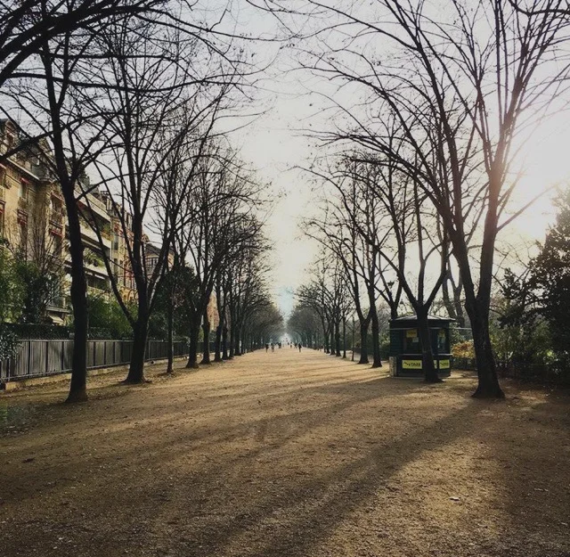 paris6.jpg.jpeg
