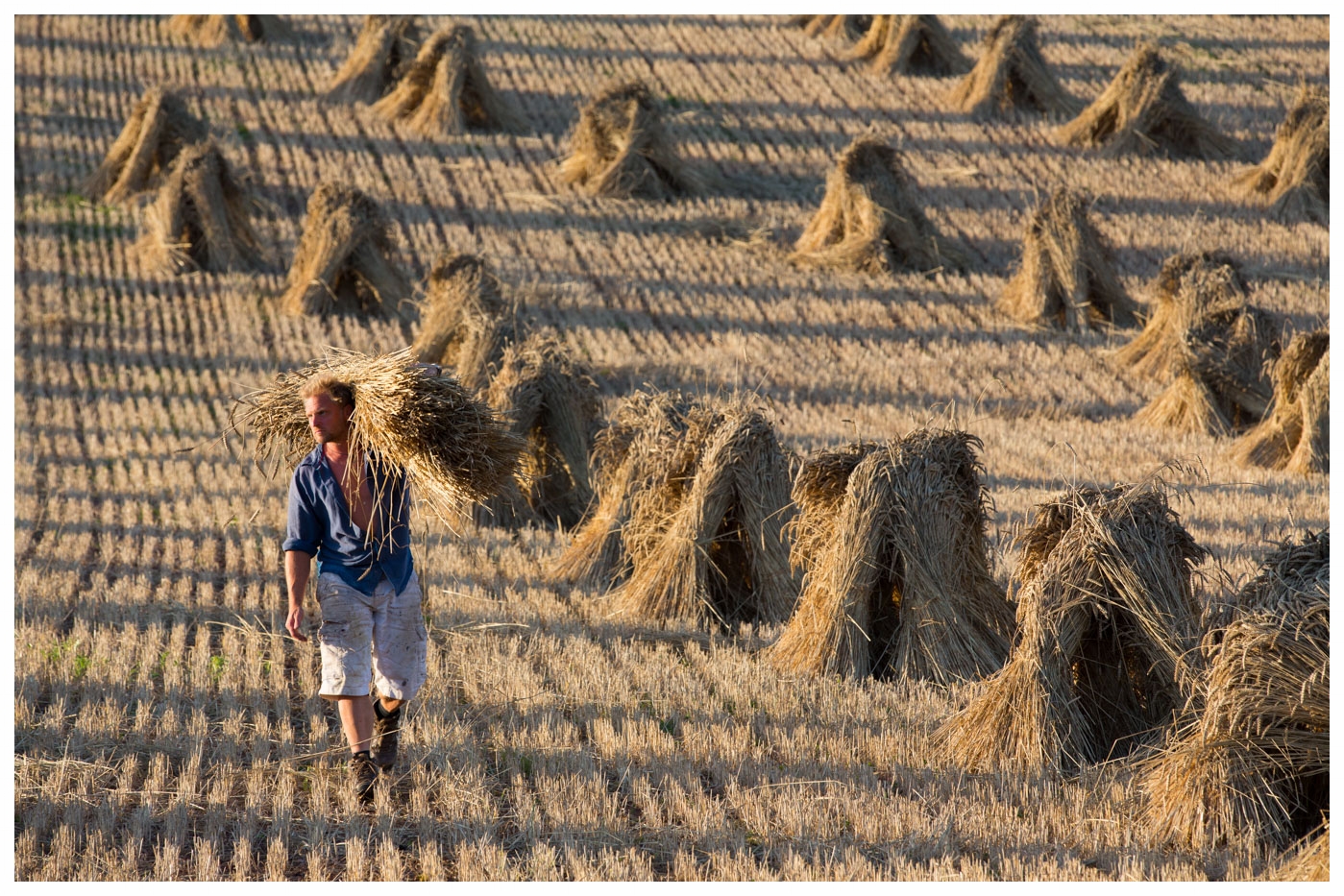 stooks-1.jpg