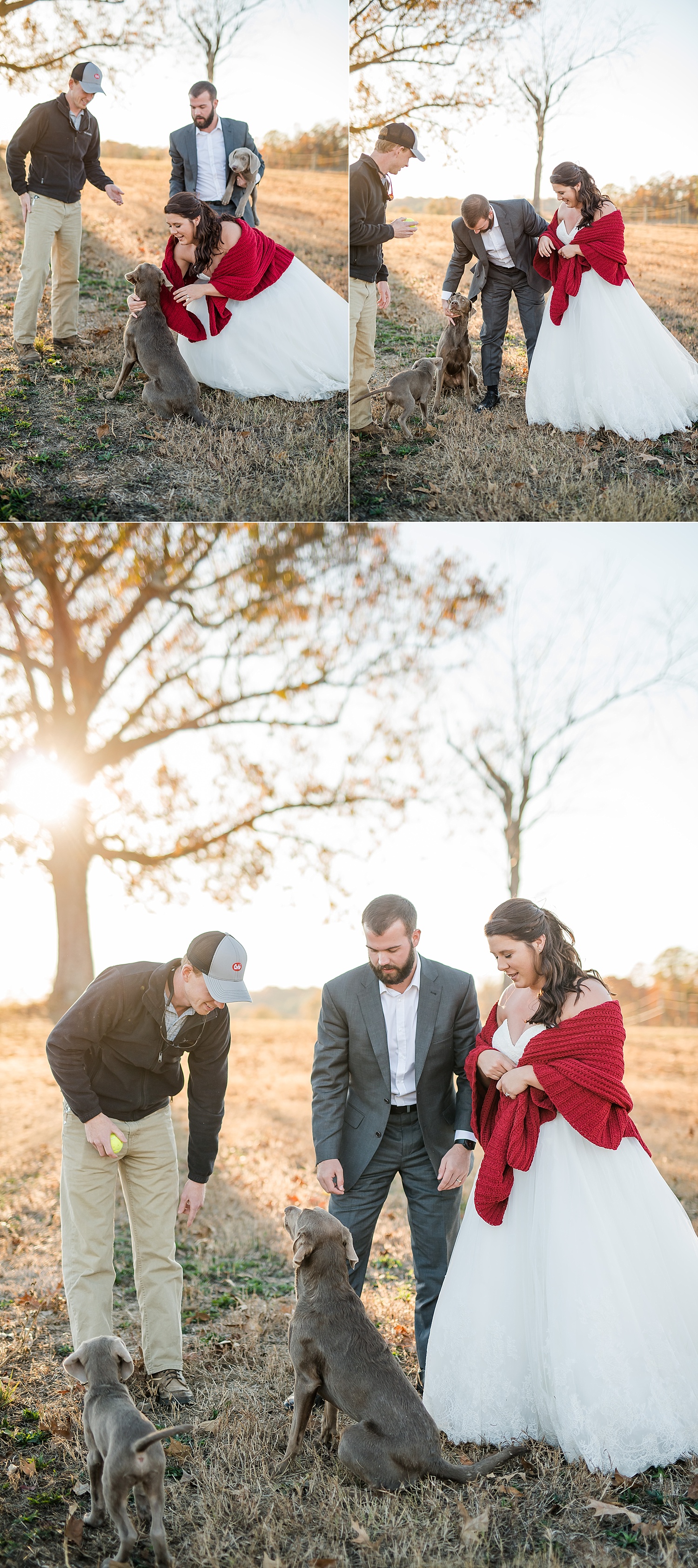 When you're a photographer you have to be good with dogs. Charlie passes with flying colors.
