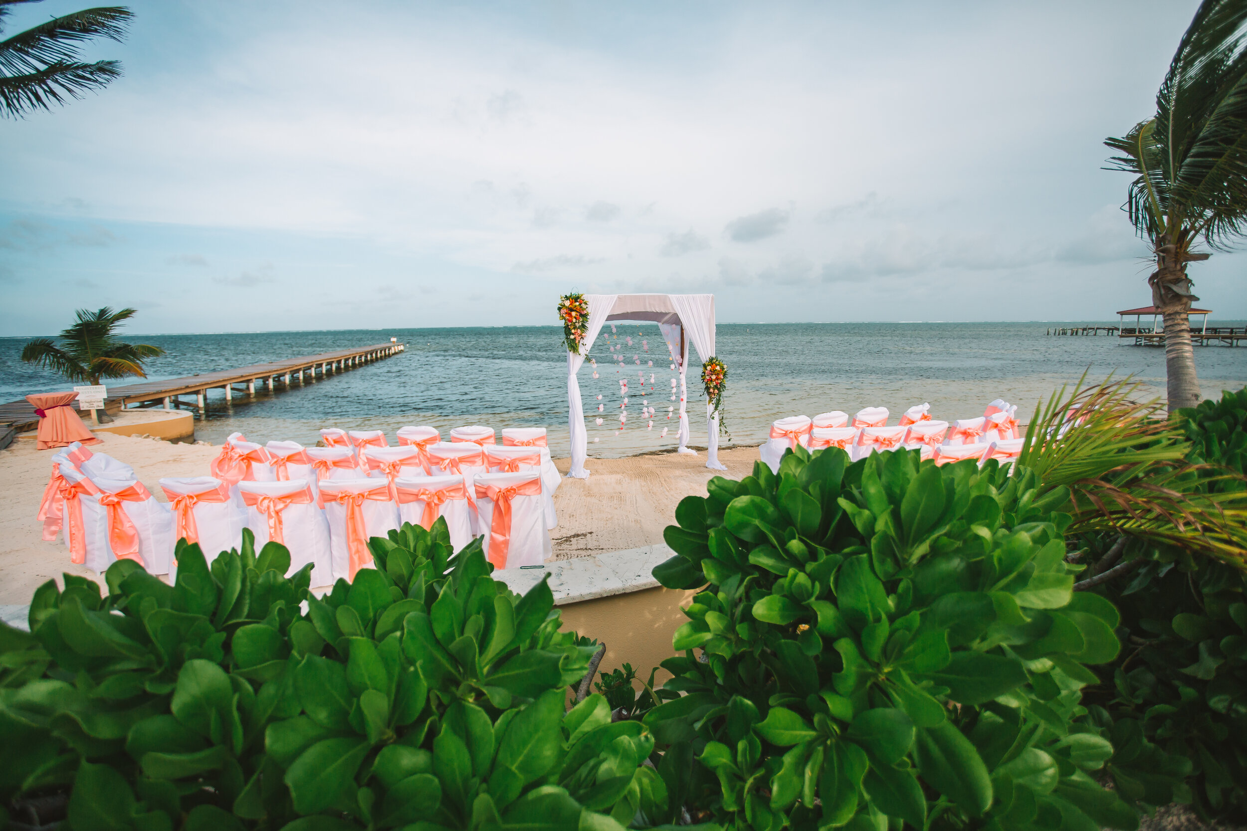 Palm Beach Wedding Planner