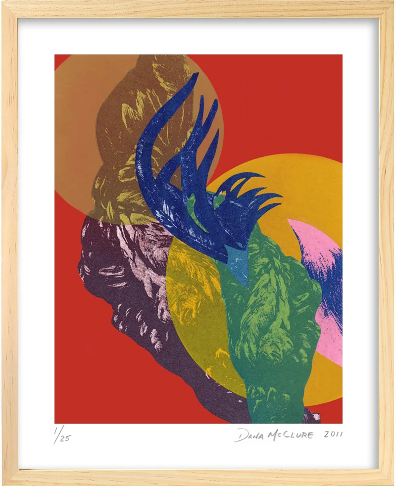 DMcClure-Curiosities-02-framed.jpg