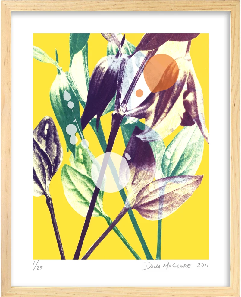 DMcClure-Curiosities-11-framed.jpg