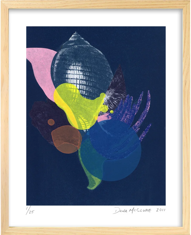 DMcClure-Curiosities-12-framed.jpg