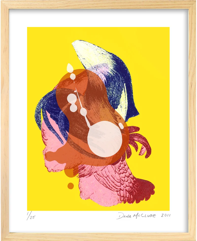 DMcClure-Curiosities-14-framed.jpg