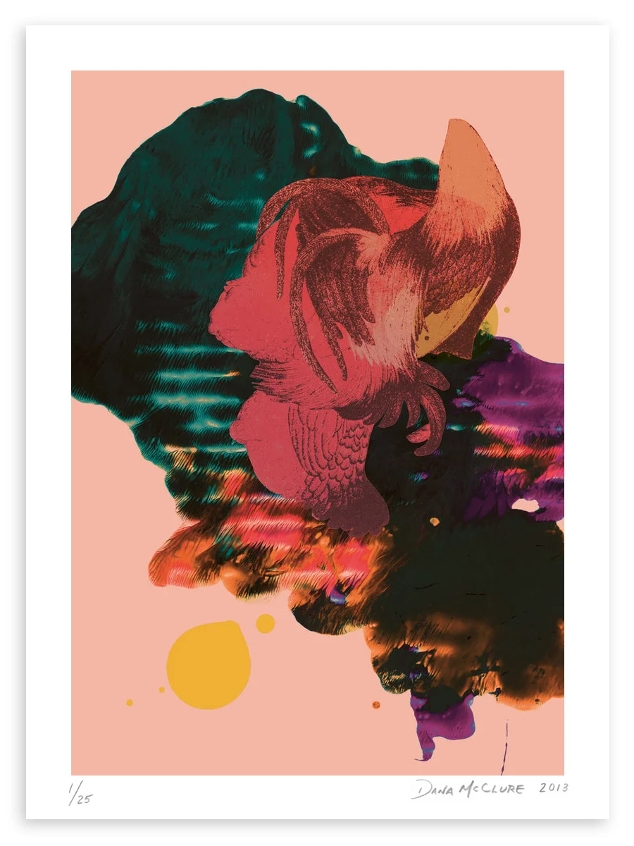 DMcClure-Curiosities-22-paper.jpg