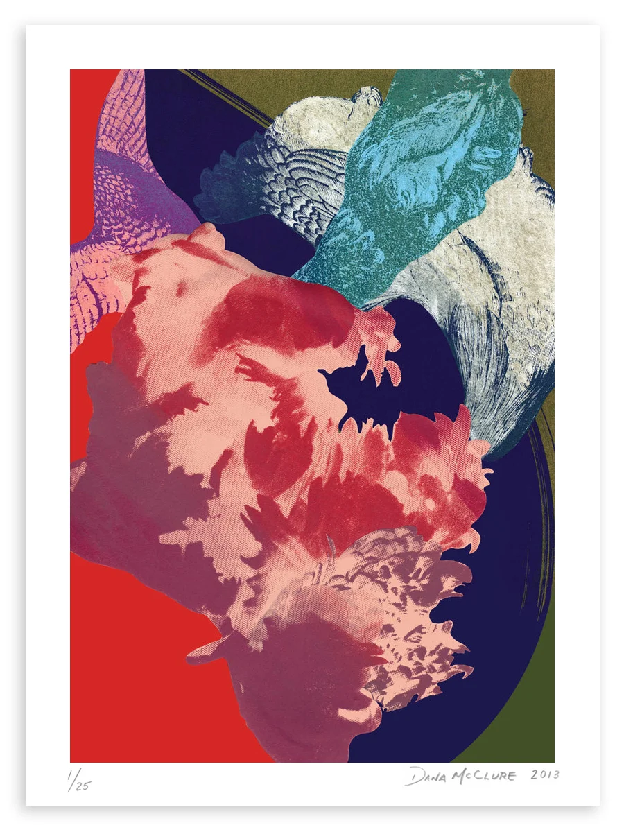 DMcClure-Curiosities-23-paper.jpg