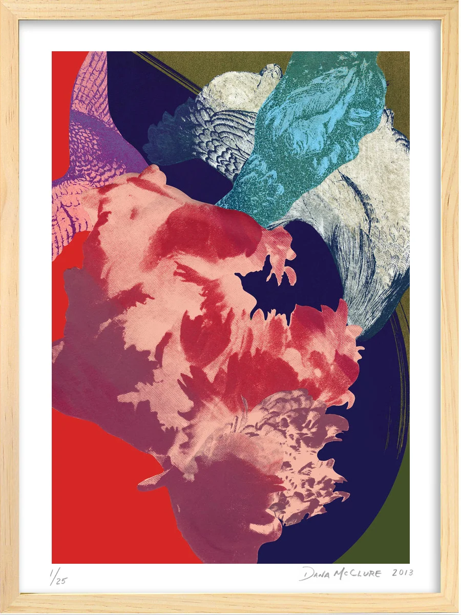 DMcClure-Curiosities-23-framed.jpg