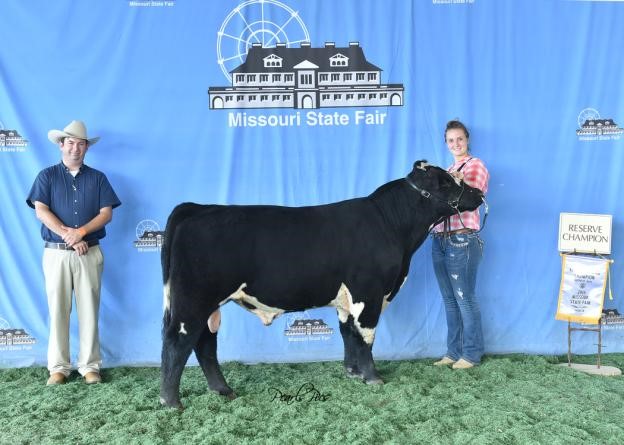 2016 Missouri State Fair Reserve Champion Bull