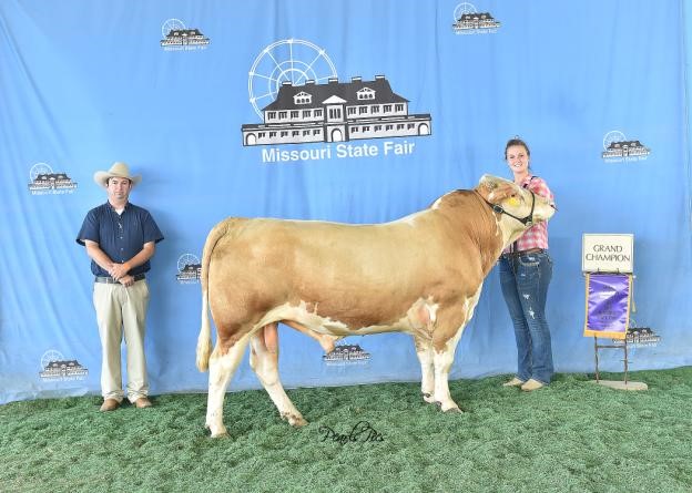 2016 Missouri State Fair Grand Champion Bull