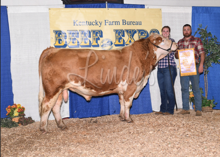 2018 Reserve Grand Champion Bull.jpg