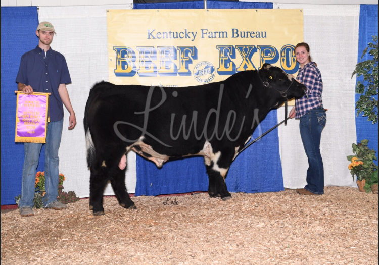 2018 Grand Champion Bull.jpg