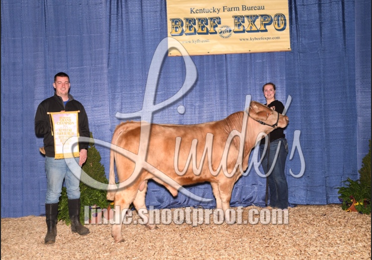 2019 Reserve Grand Champion Bull.jpg