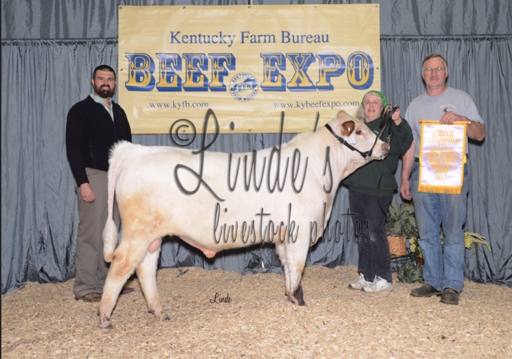 2017 Reserve Grand Champion Bull.jpg