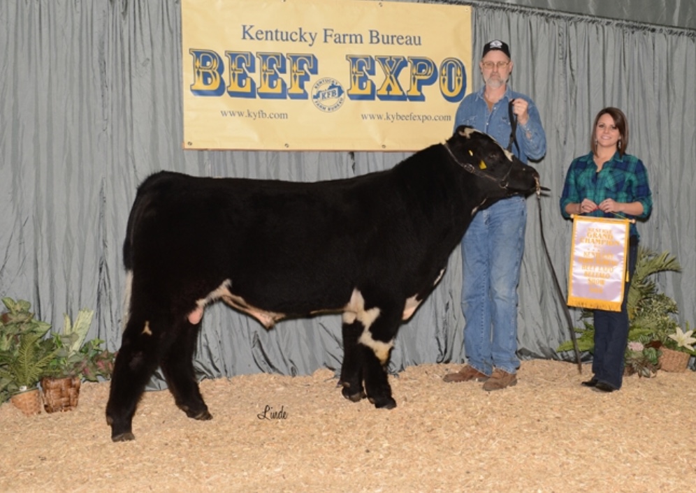 2016 Reserve Grand Champion Bull.jpg