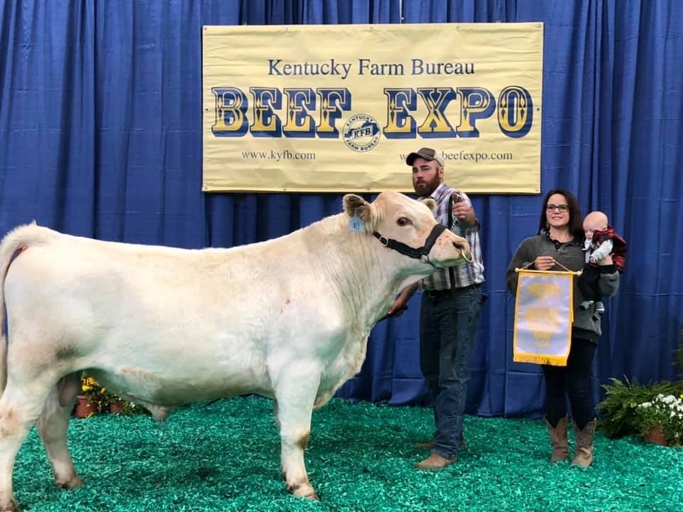 2020 Supreme Reserve Grand Champion Bull.JPG