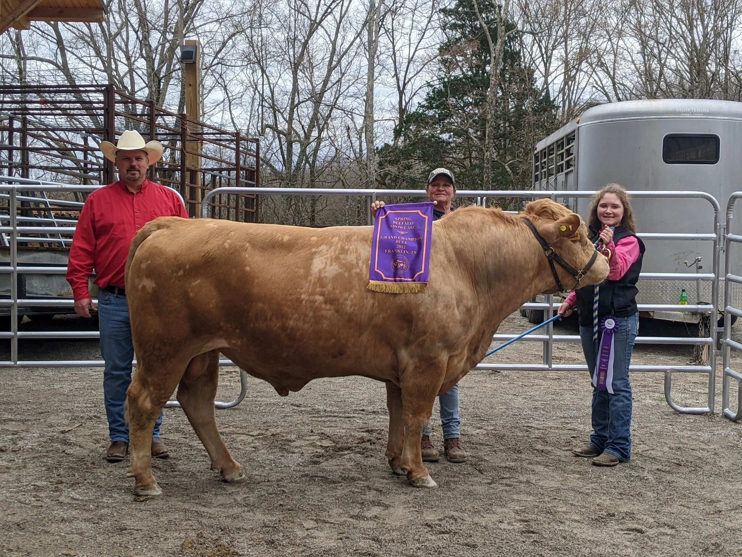 Beefalo Rodeo Beefalo