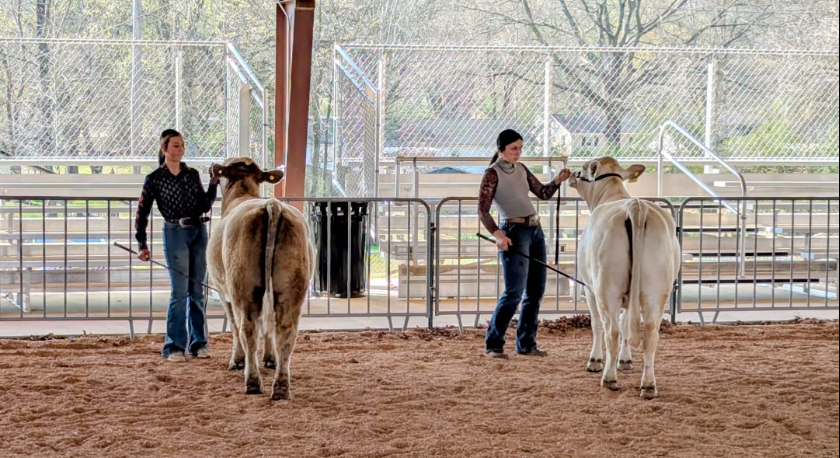 Screenshot 2026-03-28 at 4.21.45 PM.png