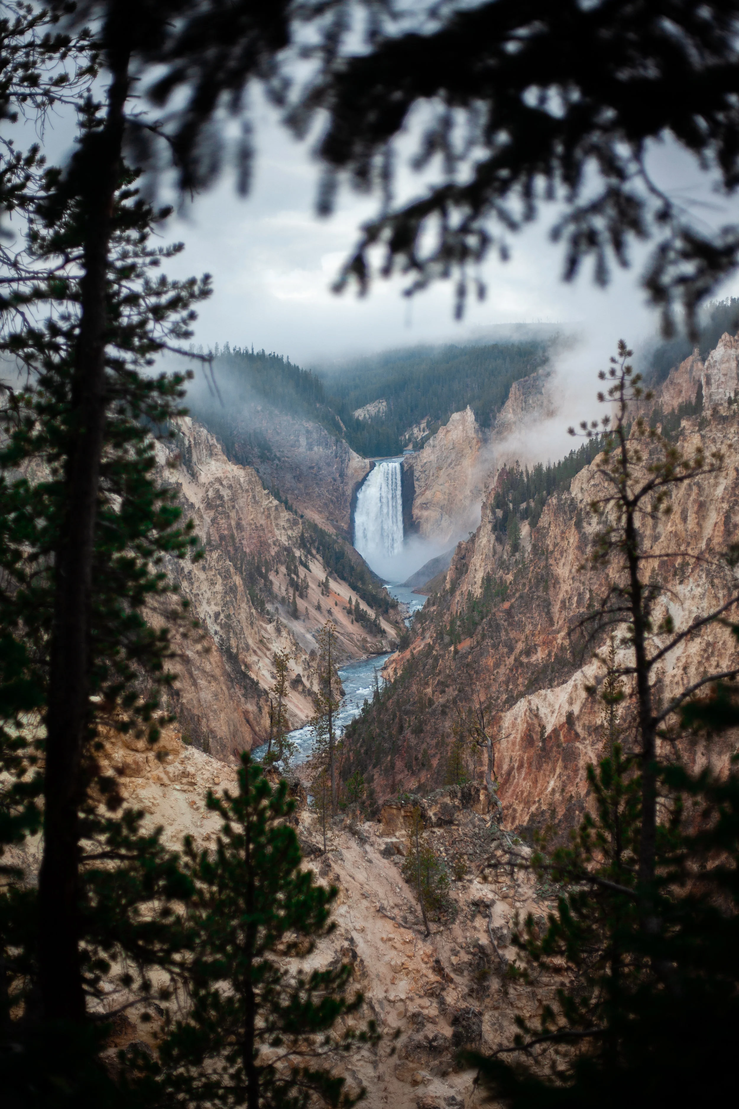 Why Is Hardwood Flooring So Expensive?