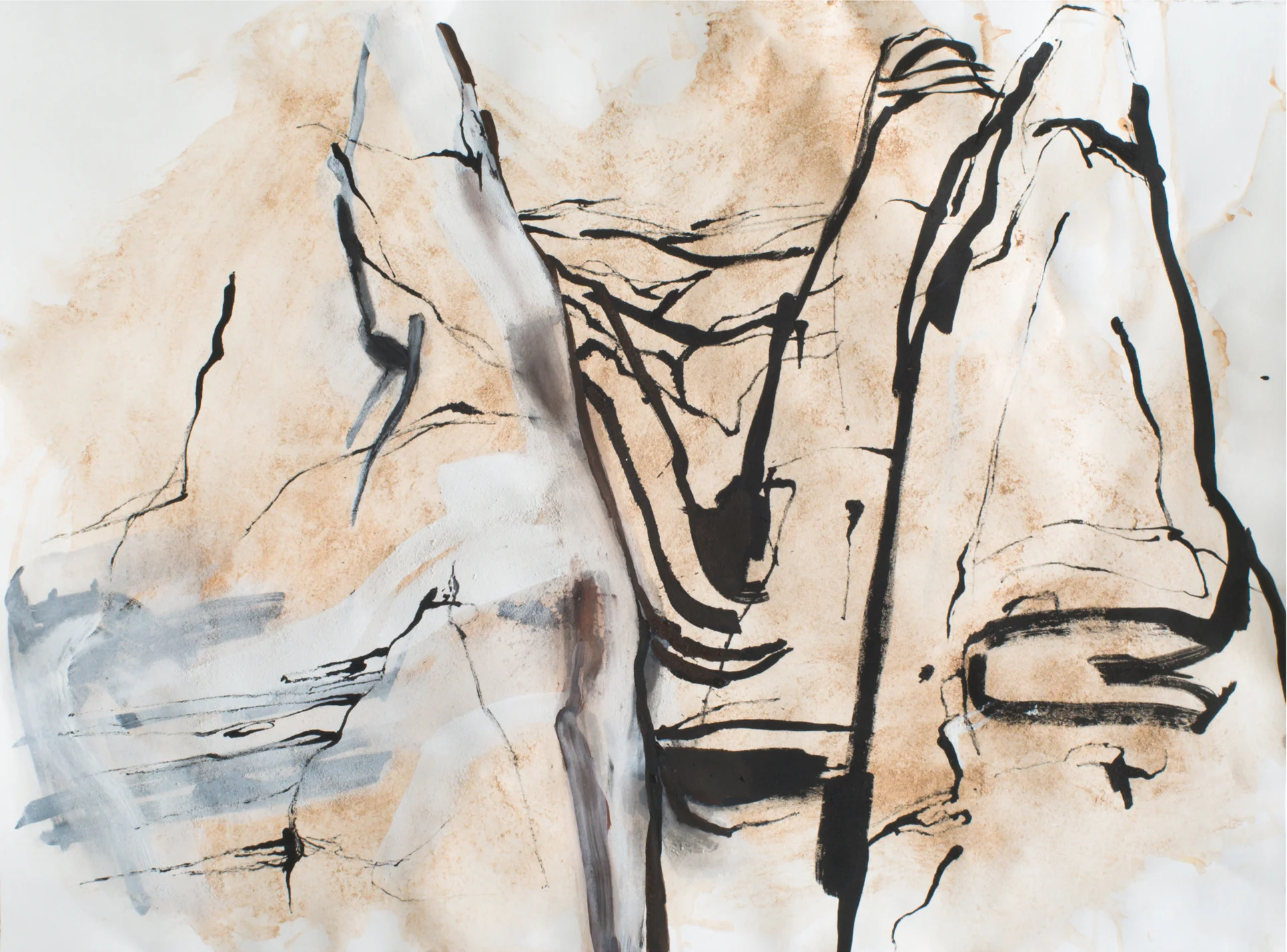 "NM-20-The White Place" 30" x 22" Ink- Dirt on Paper