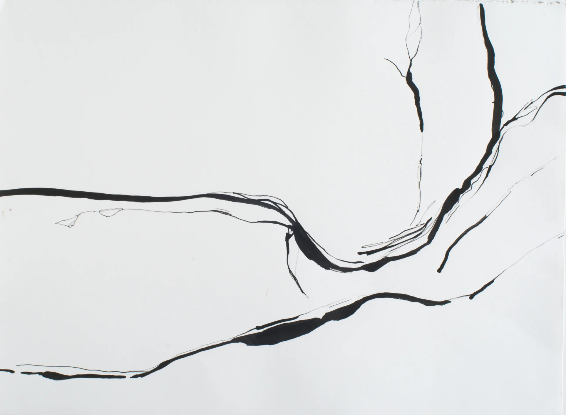 "NM-25-Striation" 30" x 22" Ink on Paper