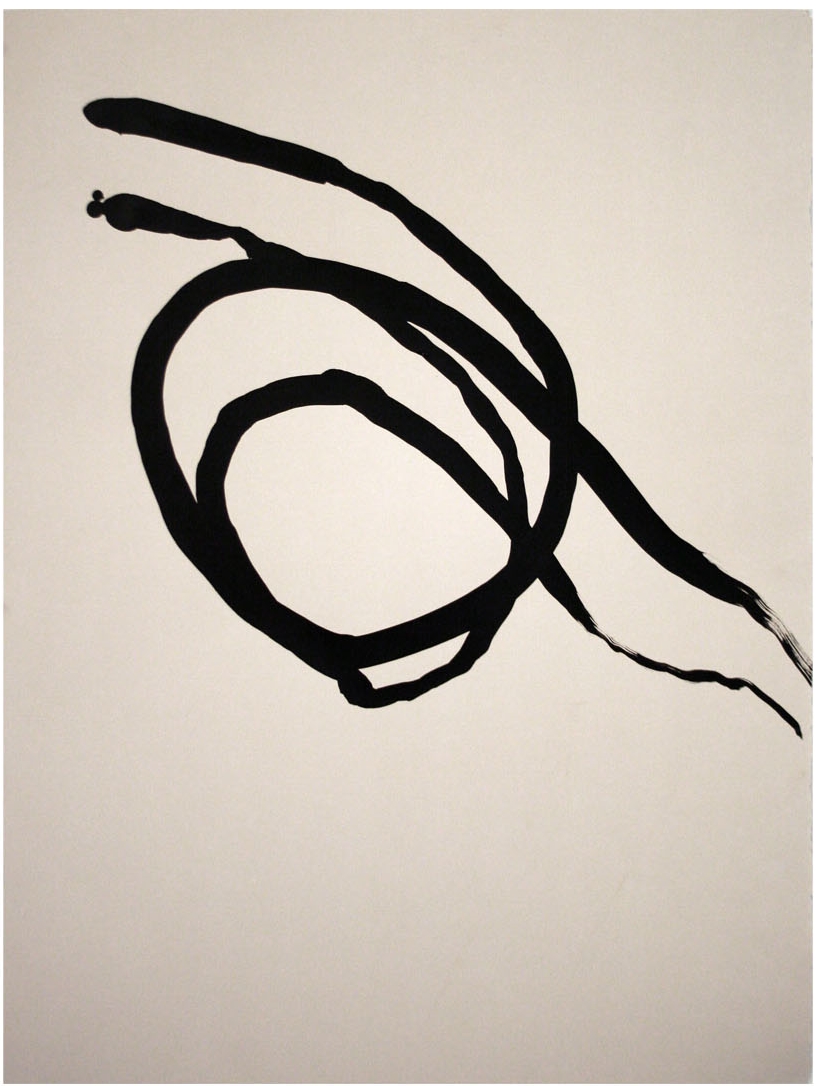 "Pt Reyes Series-17" 22" x 30" Ink on Paper