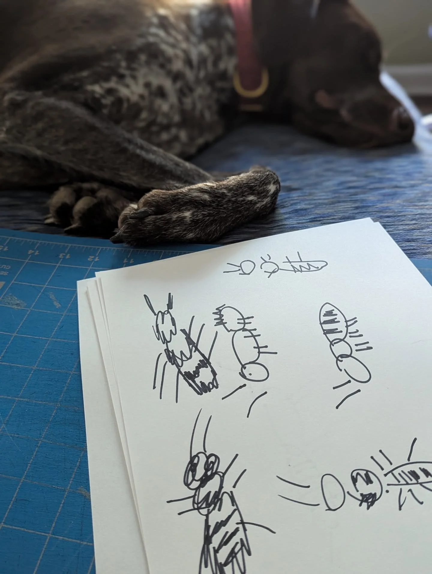 🐝 Day 8: #31daysofbees Draw a bee from memory blindfolded

Wren was not amused at my little pile of bee attempts! This was hard as well as hilarious. I switched to fuzzy scratchy style attempts and got better results 😂😅🐝 I'm missing wings on each
