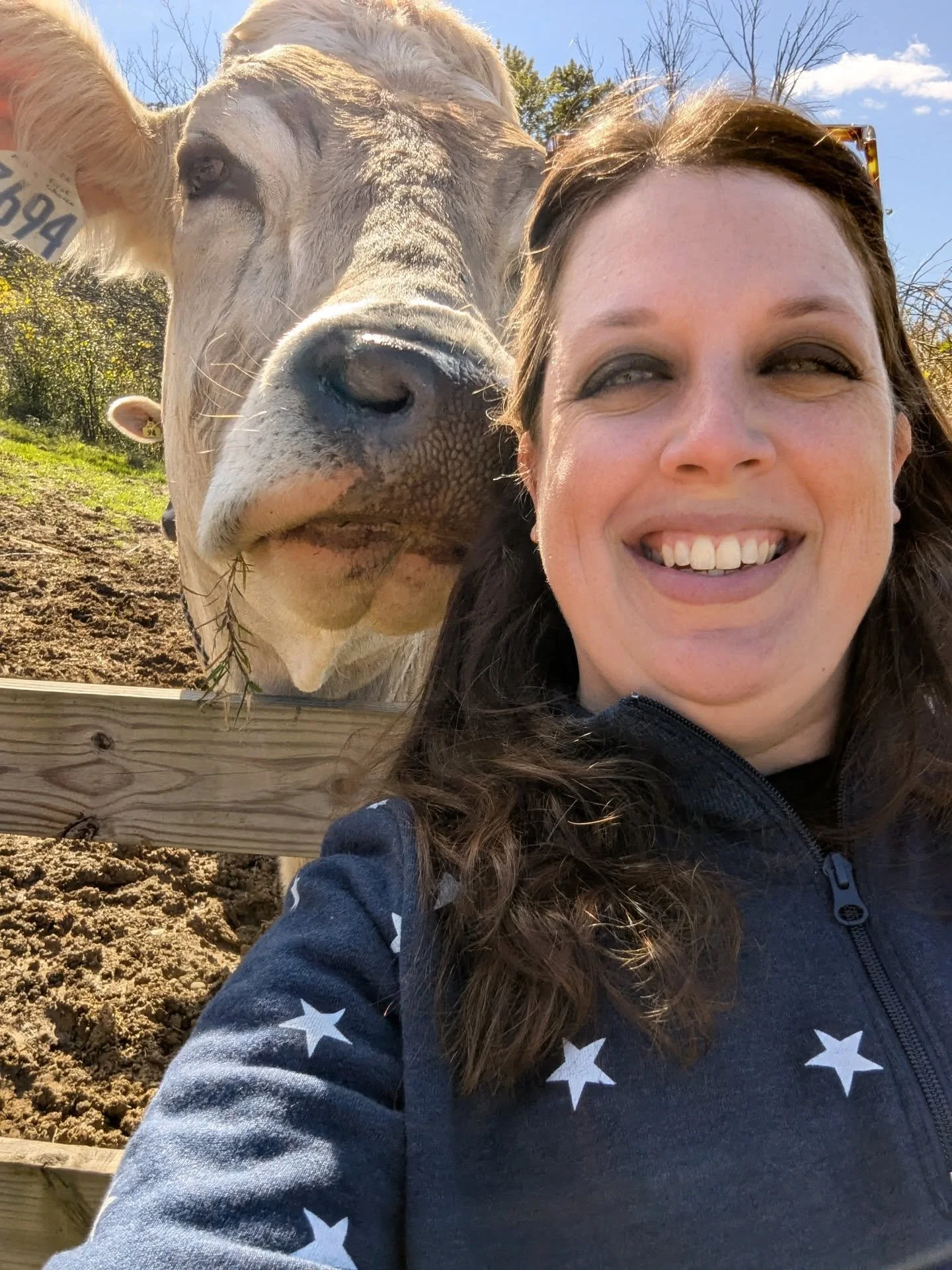 WE GOT COWS 🌪️ hahahhahaha we got clobbered by cows at @howardsapples this afternoon 🤣 visiting with @carly_crane85 and @its_nit3 🍎🍎🍎