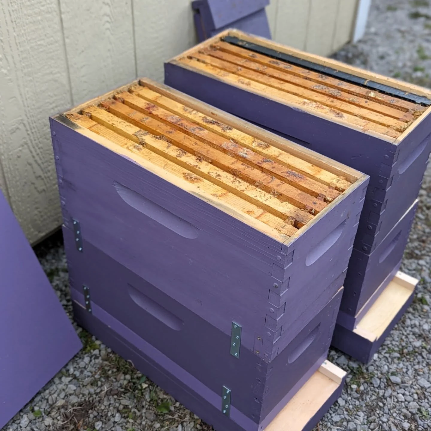 🐝 Day 10: #31daysofbees Thrifty find or DIY example.

I guess I never took a pic of my 5 gallon bucket swarm trap that was DIY. Bees had no interest. I also made my own swarm traps with nuc boxes. The bottom box was completely empty thinking the bee