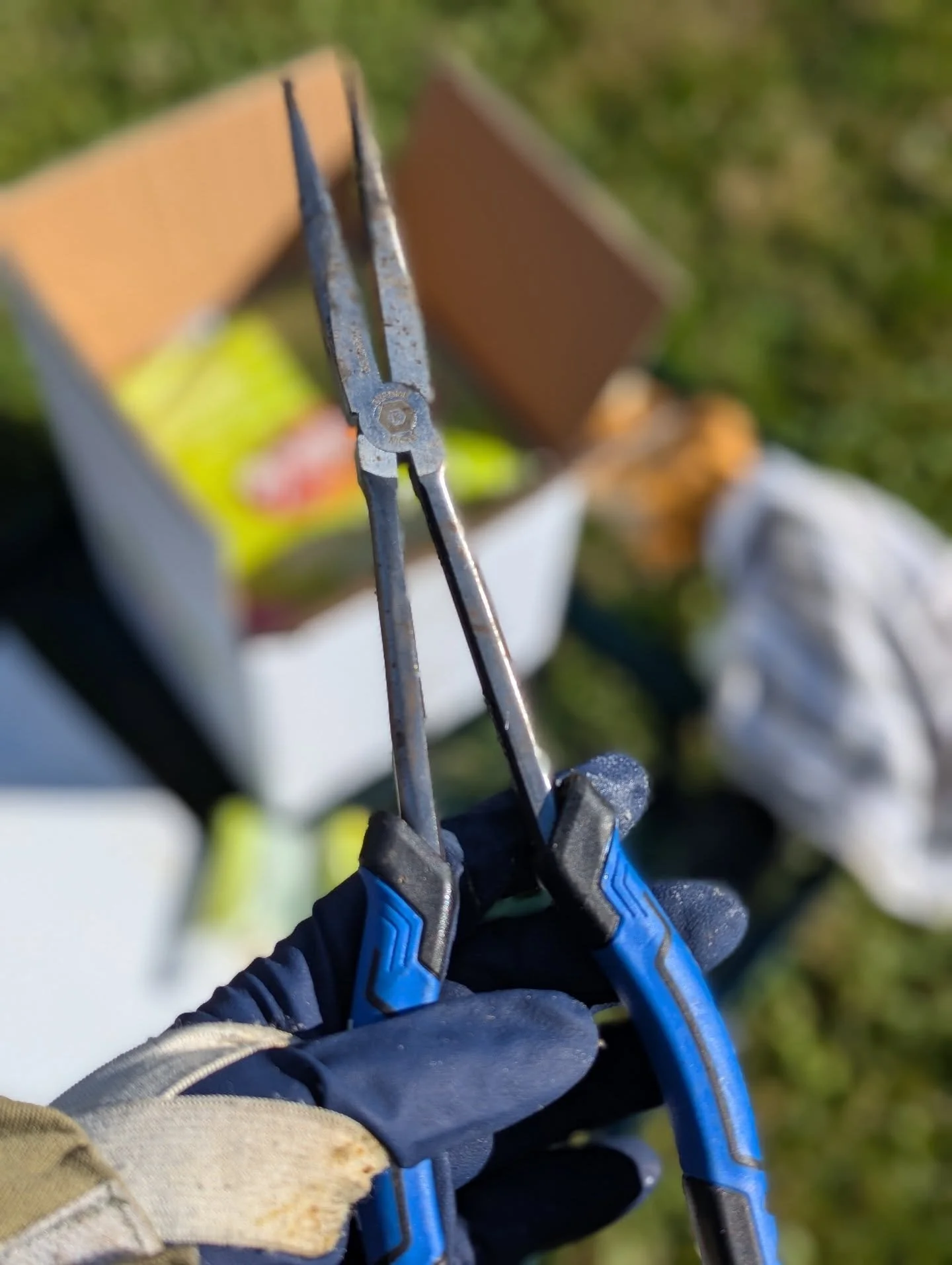 🐝 Day 11: Favorite hive tool. #31daysofbees 

My needle nose pliers! I run screened bottom boards and when I need to do mite treatments I close them up with inserts or trays. They are an absolute pain sometimes and get stuck or fall back where I can