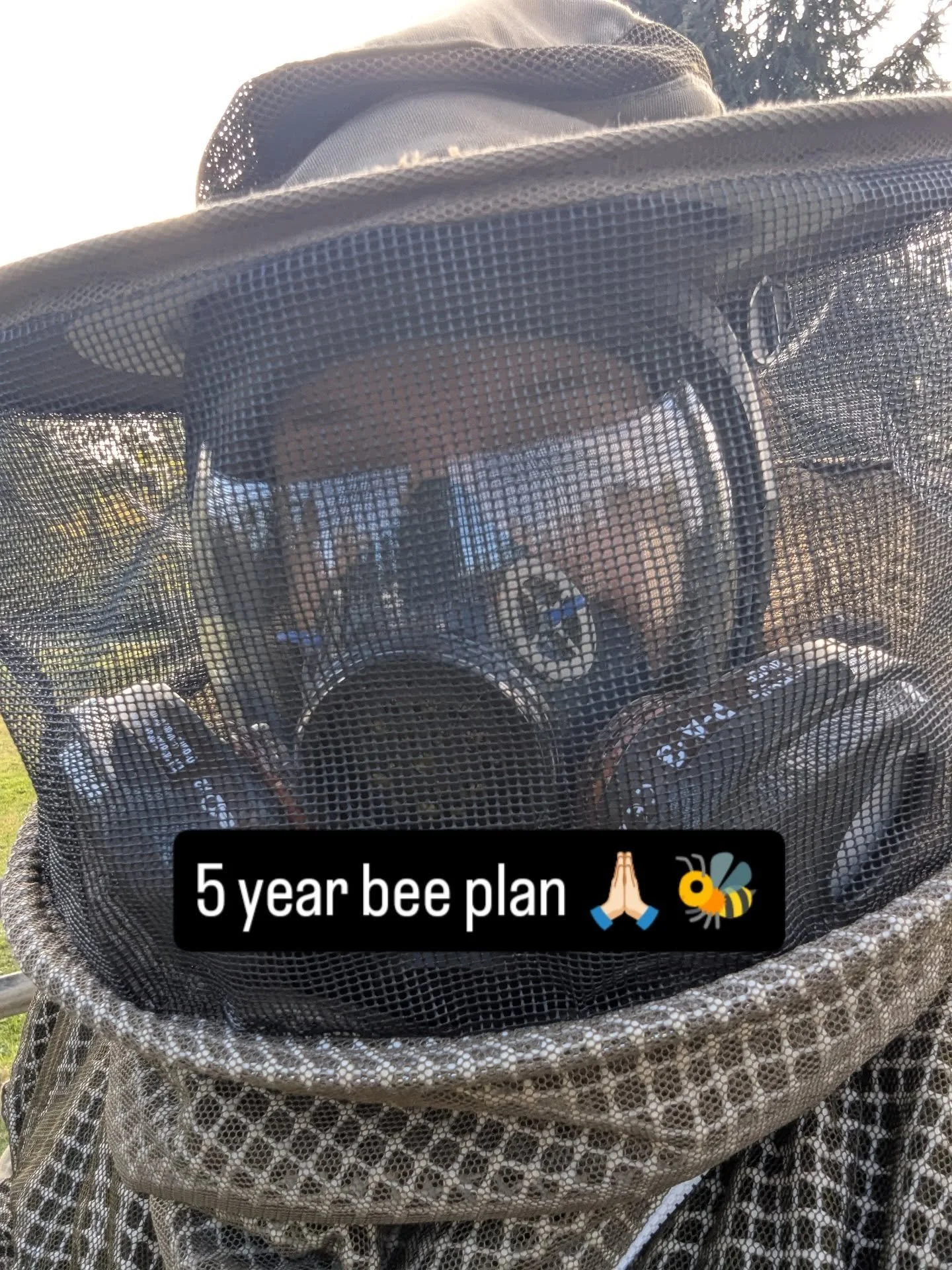 🐝 Day 12: 5 year bee plan #31daysofbees 

I'm actually part way through a 5 year plan and have already several things accomplished!

✅ Cornell University Certified Master Beekeeper&nbsp;

✅ Expanded to a second apiary&nbsp;

✅ Started a bee focused 