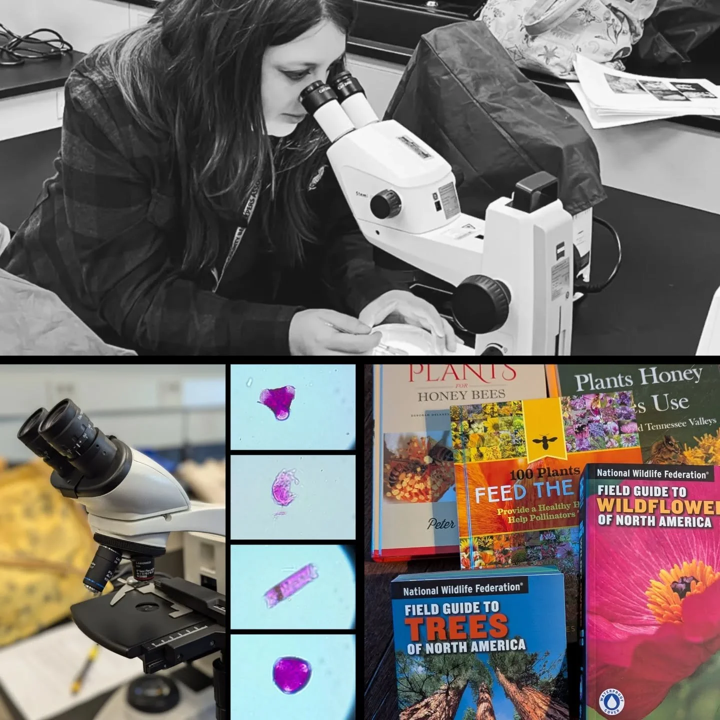 🐝 Day 17: if you weren't a beekeeper, what else would you do? #31daysofbees 

Science!!!

I have a Master of Fine Arts and Bachelor of Fine Arts degree in Visual Communication Design. My entire professional career I have been a designer and brand st