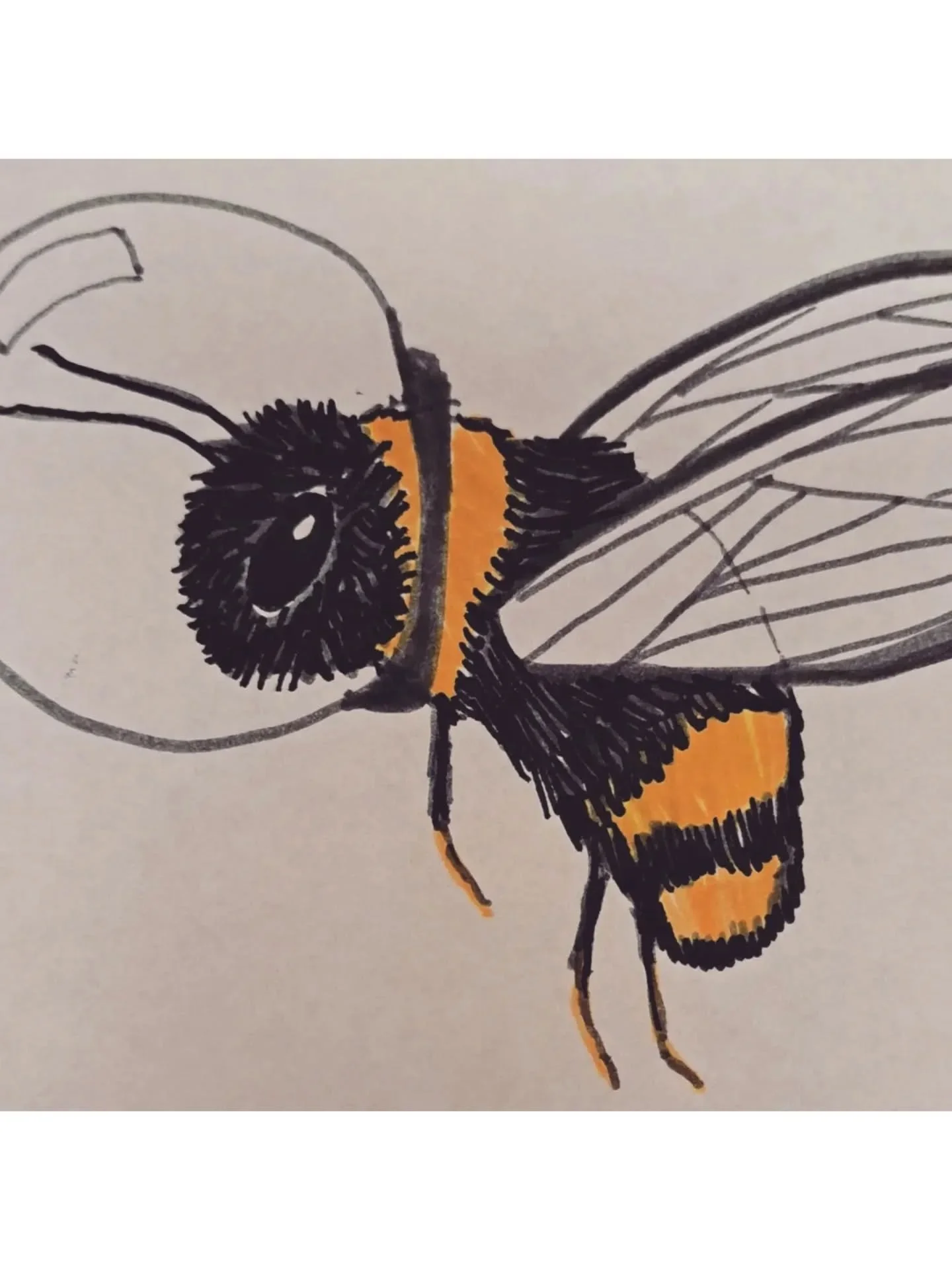 🐝 Day 19: Bee art #31daysofbees 

I expanded to bee and lavender art. I have been gifted so many amazing artworks and pieces from friends and family who are talented painters and illustrators. Or family members sending me silly doodles which I adore