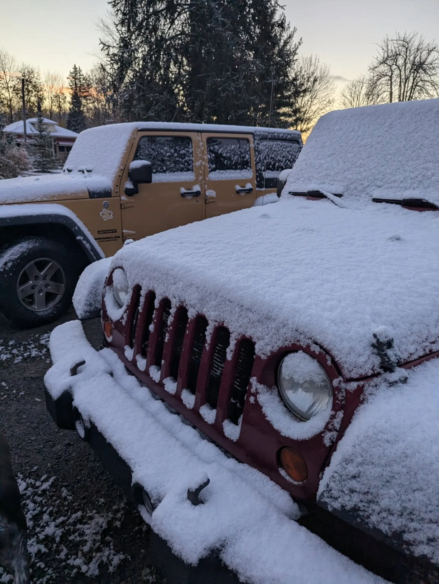 Return to Sender ❄️😑 not bad at all but not mentally ready. Wren has to reprogram her brain each and every season during the first snow as we go through a "what's this, what's this?" session each Fall ❄️🐾