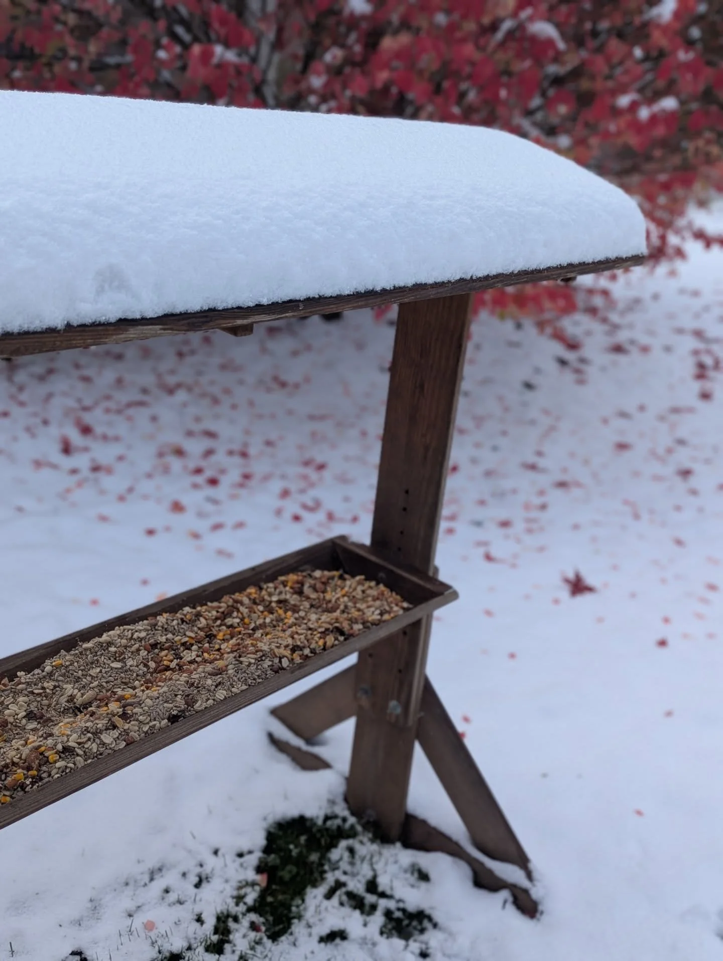 Time to fill up the critter feeder. This thing has been buried in my shed barn and this year I made sure to get it out when the weather was warmer. Watching the animals during the winter months is one of the only things that gets me through ❄️❄️❄️