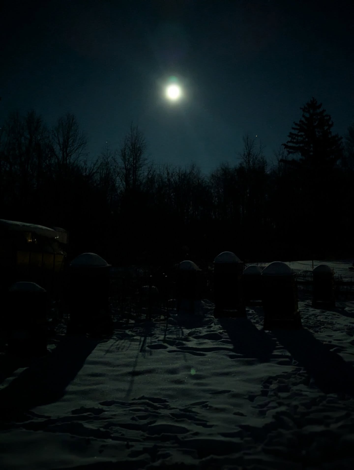 I've been standing next to the hives and when the traffic dies down, listening to the steady hum inside. I miss the bees terribly in the winter ❄️