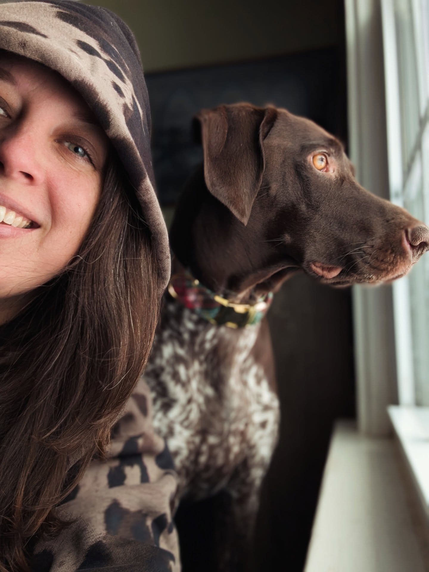 I'm super into our color palette today Wren. You would think I was a GSP 🥰 

Bird watching as we practice stillness today and ride out the snow storm. ❄️❄️❄️