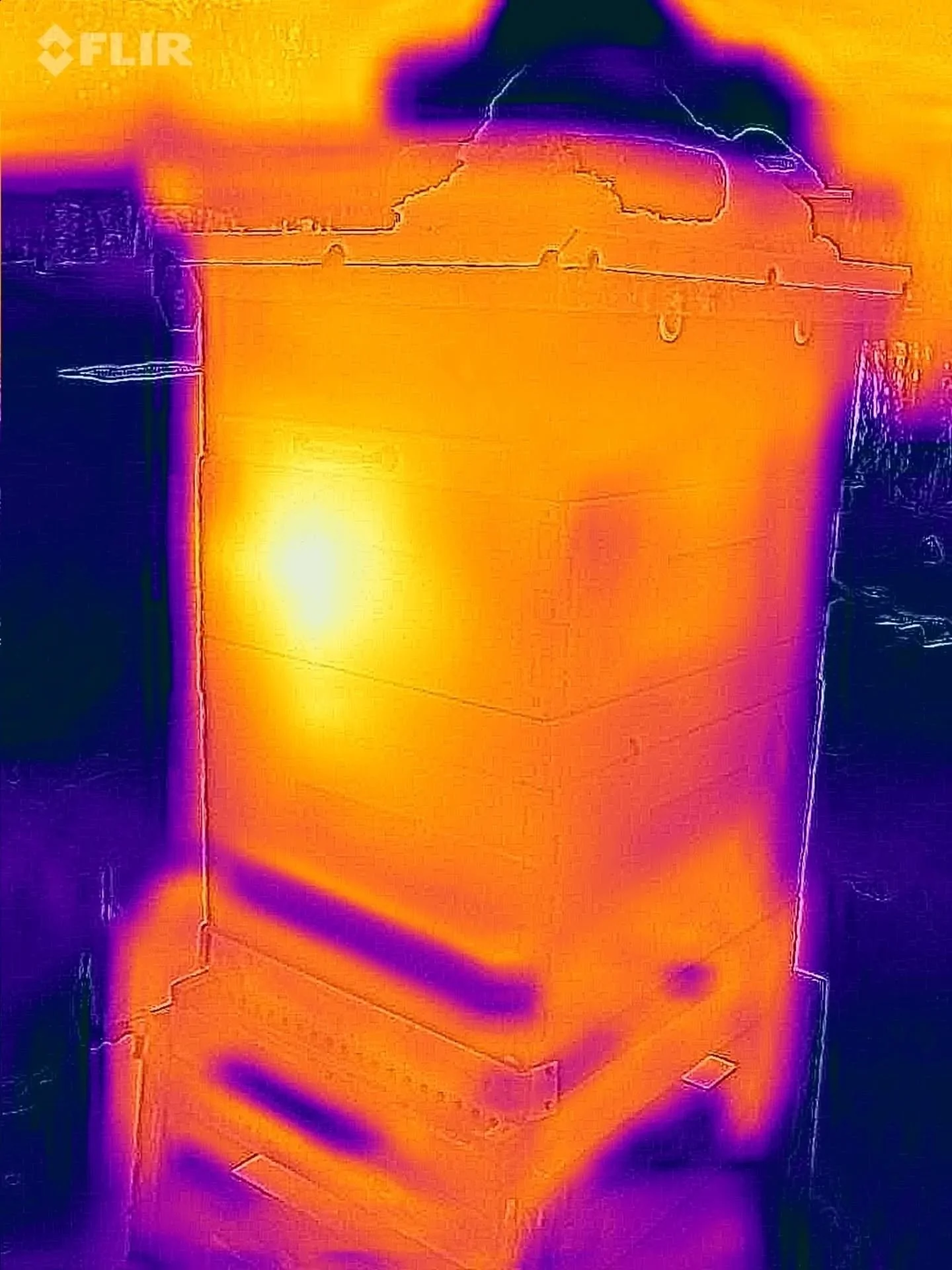 Three of my hives are showing signs of life. 
Three of my hives are not.

I could tell something was up earlier this week with the three quiet hives as I heard no buzzing and lots of dead bees on the bottom board. I was able to confirm my suspicions 