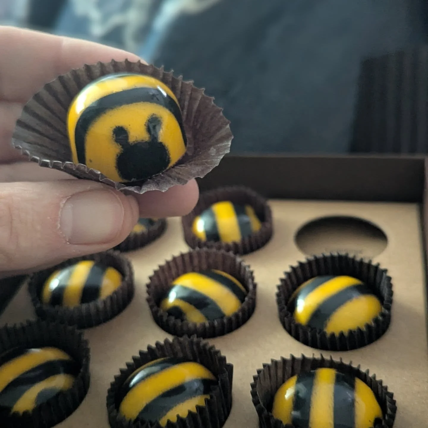 We finally finished the most delicious handmade carmel honey chocolate bees we enjoyed over the holidays. These chocolates from @johnandkiras are SO GOOD. 🐝🐝🐝 These make such good gifts for a beekeeper or bee lover in your life!