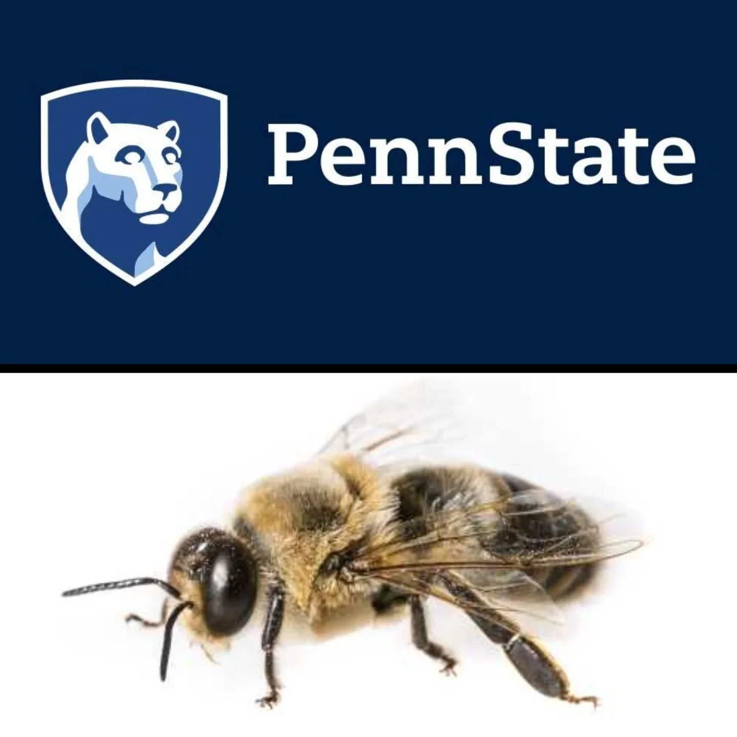 My application was recently accepted to participate in the&nbsp;2026 DUDE&nbsp;program (Deep Understanding of Drones Education) through Penn State.&nbsp;With funds awarded from the One Hive Foundation, Penn State educators Robyn Underwood and Kate An