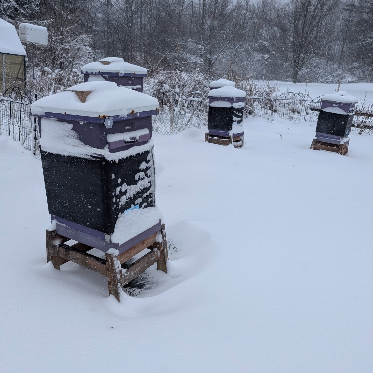 Some areas have 5-6 inches with the snow drifts. The wind was so bad last night. 13 degrees and last week it was 60. This winter has felt so very, very long. 🥶