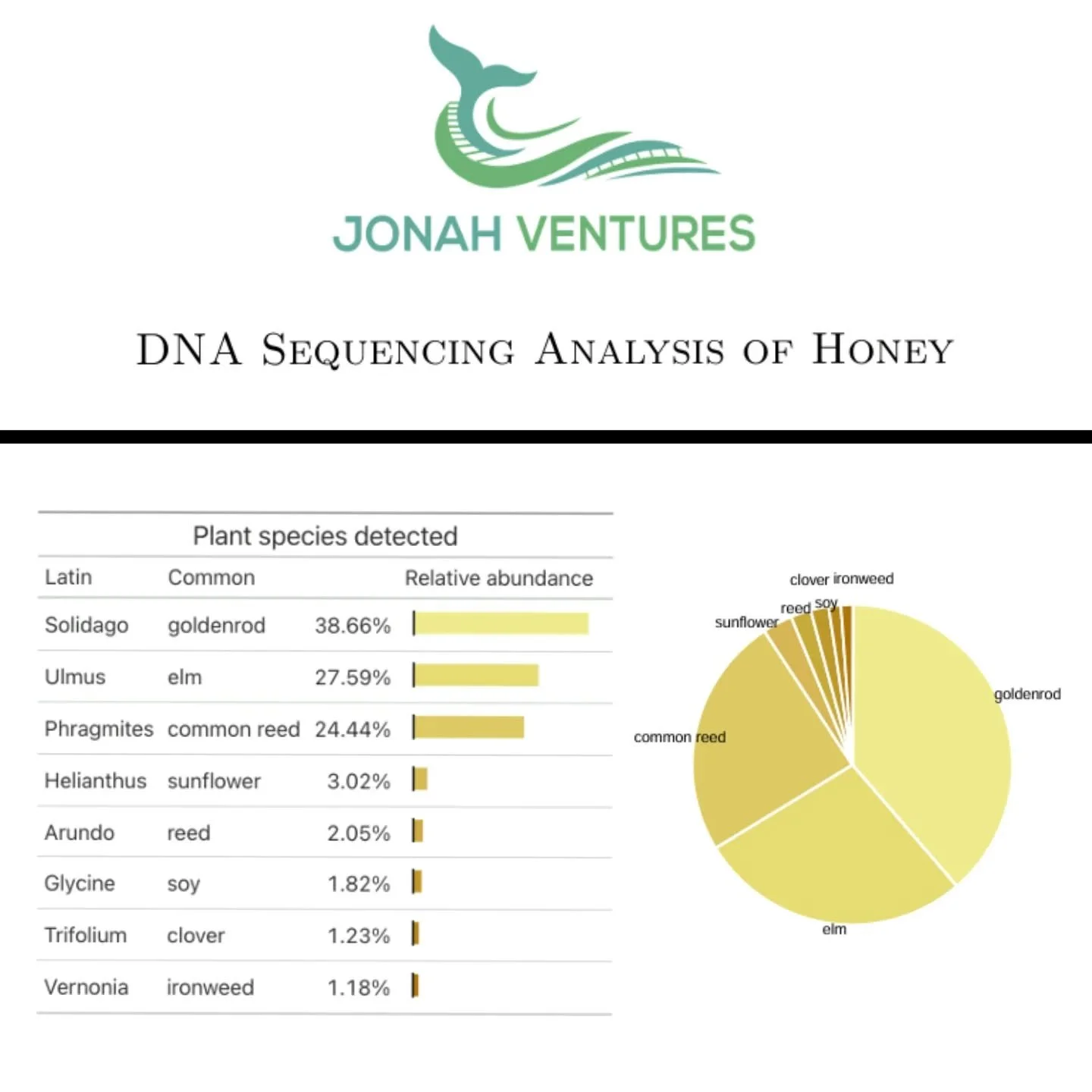 FINALLY got my last DNA results back that I sent in November. This is my Fall honey! I knew for sure about Goldenrod but scratching my head on Elm!! Usually Elm trees bloom in Spring. There must be Chinese Elm around or something that is setting off 