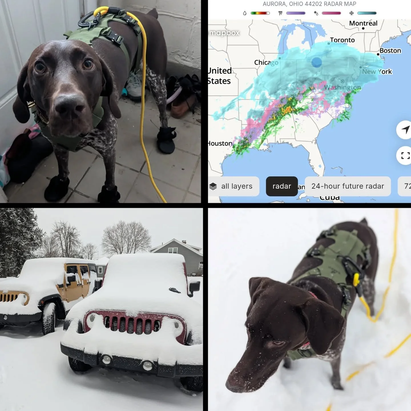 14 inches of snow and counting. Wren absolutely loves it and doesn't want to come in 😑 Hoping everyone is doing ok out there. This is not out of the ordinary with the amount of snowfall as we usually get dumped on from lake effect Lake Erie snow.
