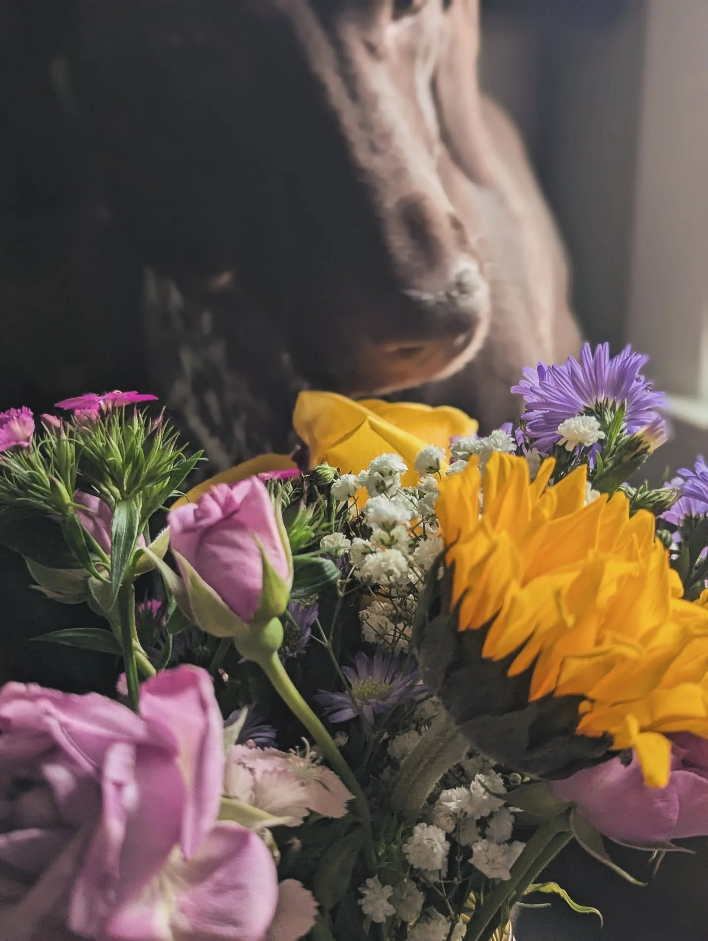 Thank you @iamrunwyattrun for the most GORGEOUS flowers! Wyatt gave me flowers for my birthday as well as two amazing bee themed gifts. He is the absolute best and one of my most cherished friends. I couldn't wait to show Wren when I got home!! They 