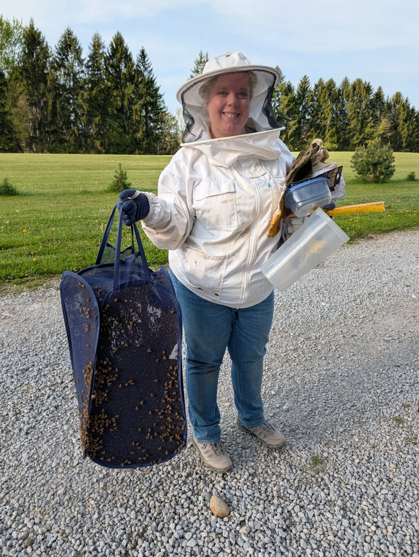 Swarm Capture Part 2: At 6:30 am, @carly_crane85 helped me grab the massive ball of bees and bring them back to my bee yard. 🐝🐝🐝 Normally I would use equipment to lure the bees into and transport. A zippered laundry bag was the easiest as the bees