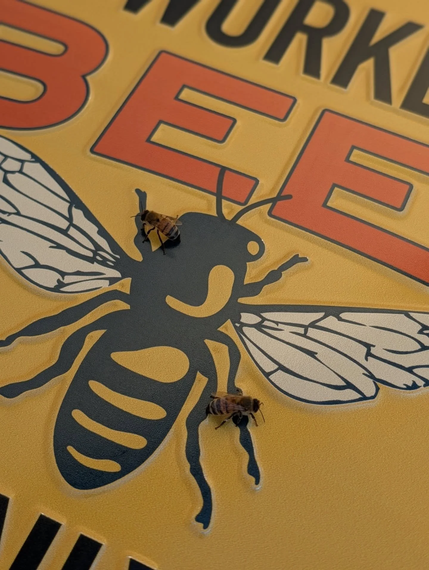 The girls were immediately checking out my new tin signs. I didn't know two were stuck together so I got a bonus sign! Super cool on the outside of my barn shed. ✨🐝✨