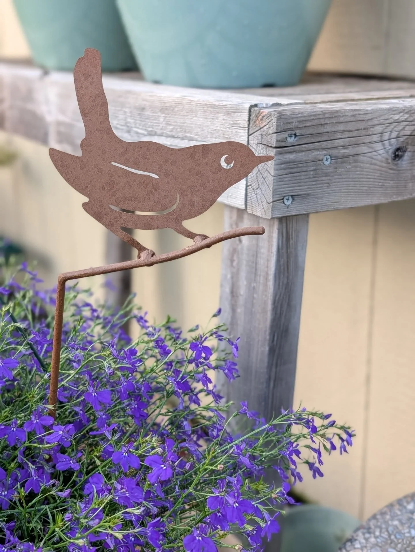 Wren approved my other great find today at @countrycolorsgreenhouse. More wrens!!!! 🪶🪶🪶