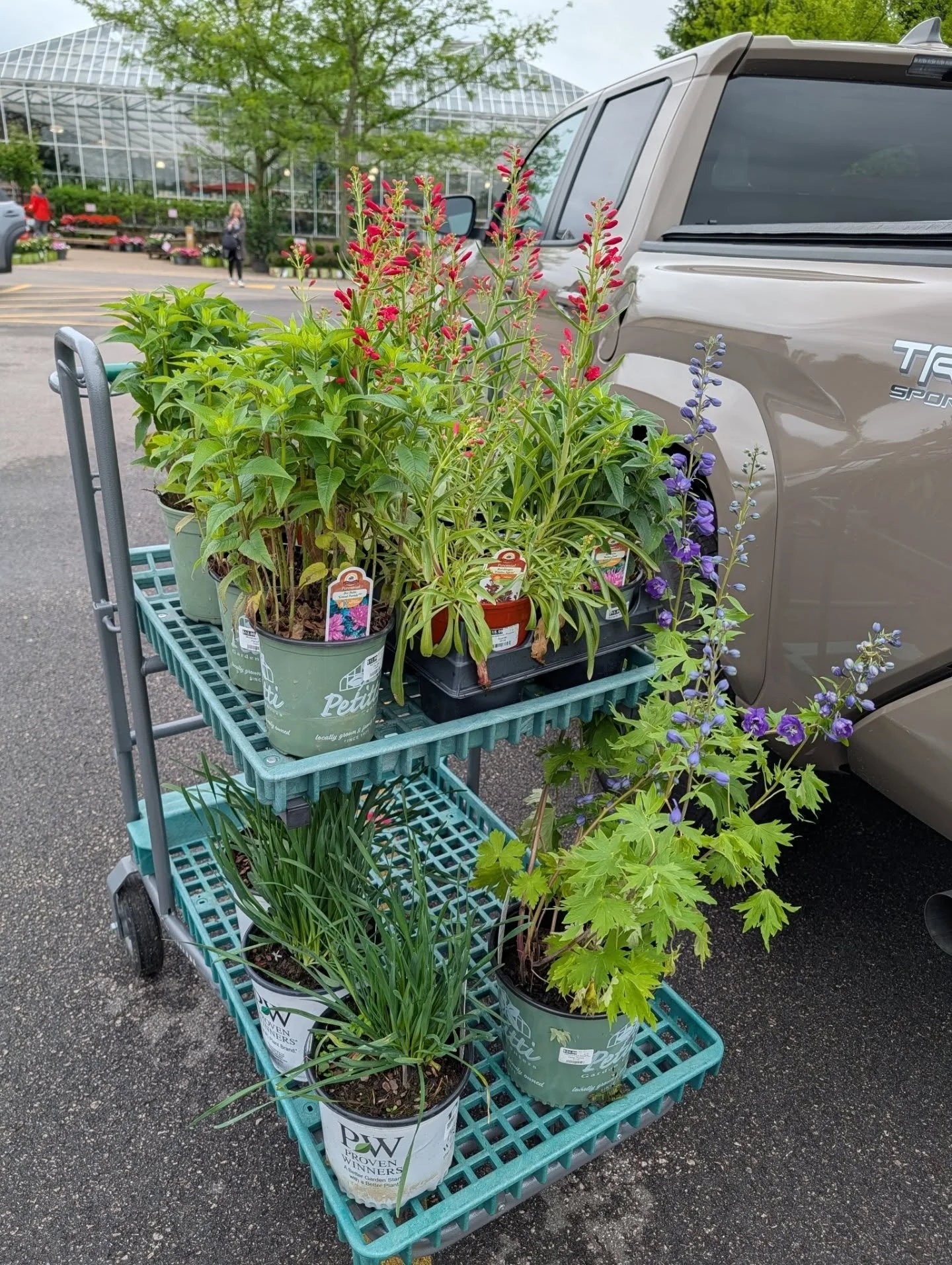 Girls buy trucks and haul flowers 💐 🛻 Shopping spree at @gardeningwithpetittis