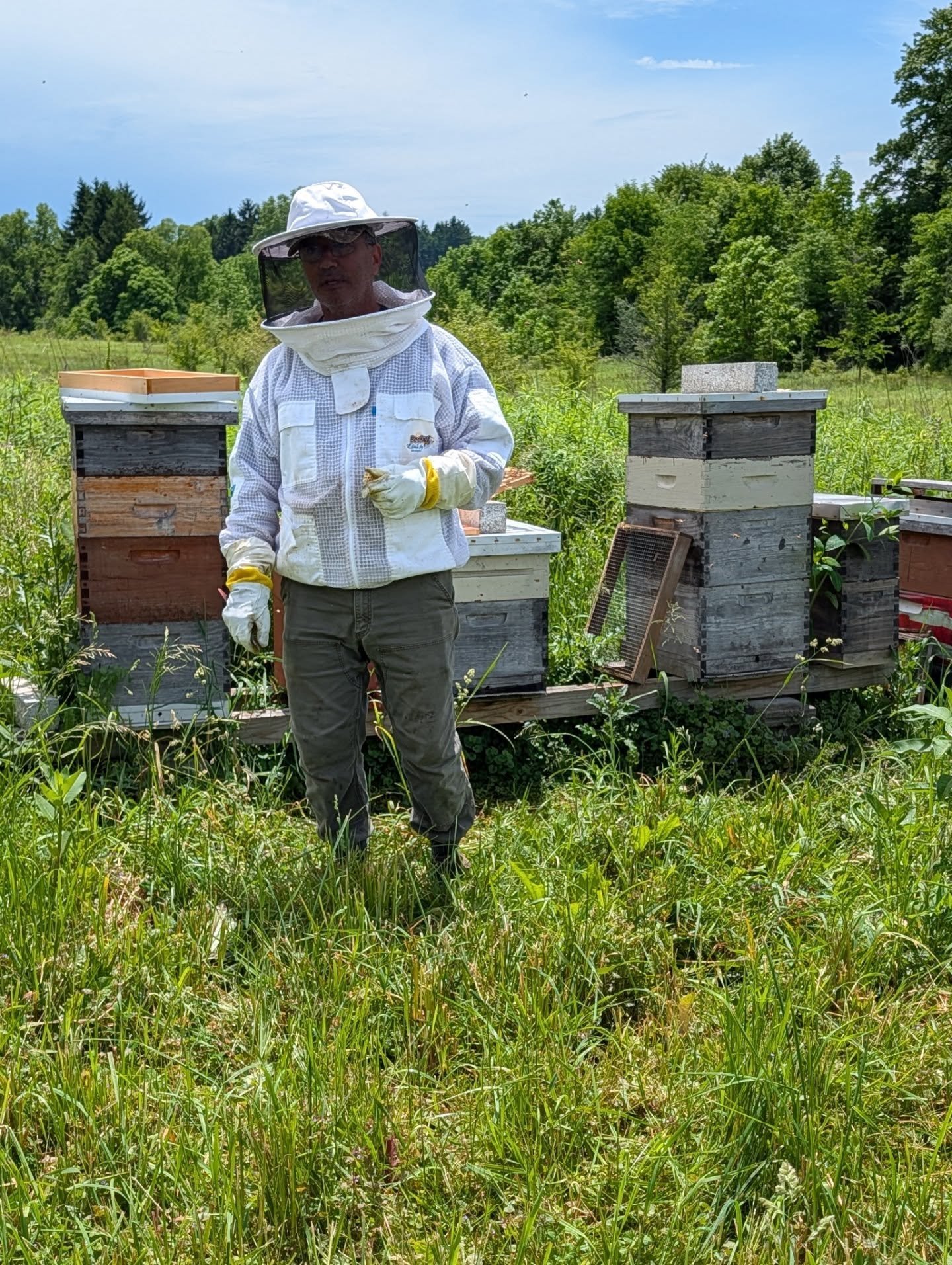 Soon as I came home from Houston trip I had to run over to pick up a queen cell that I made from our queen rearing workshop in Richfield. Turns out my other cell had evidence of an emerged queen while I was away and might have stung/killed the other 