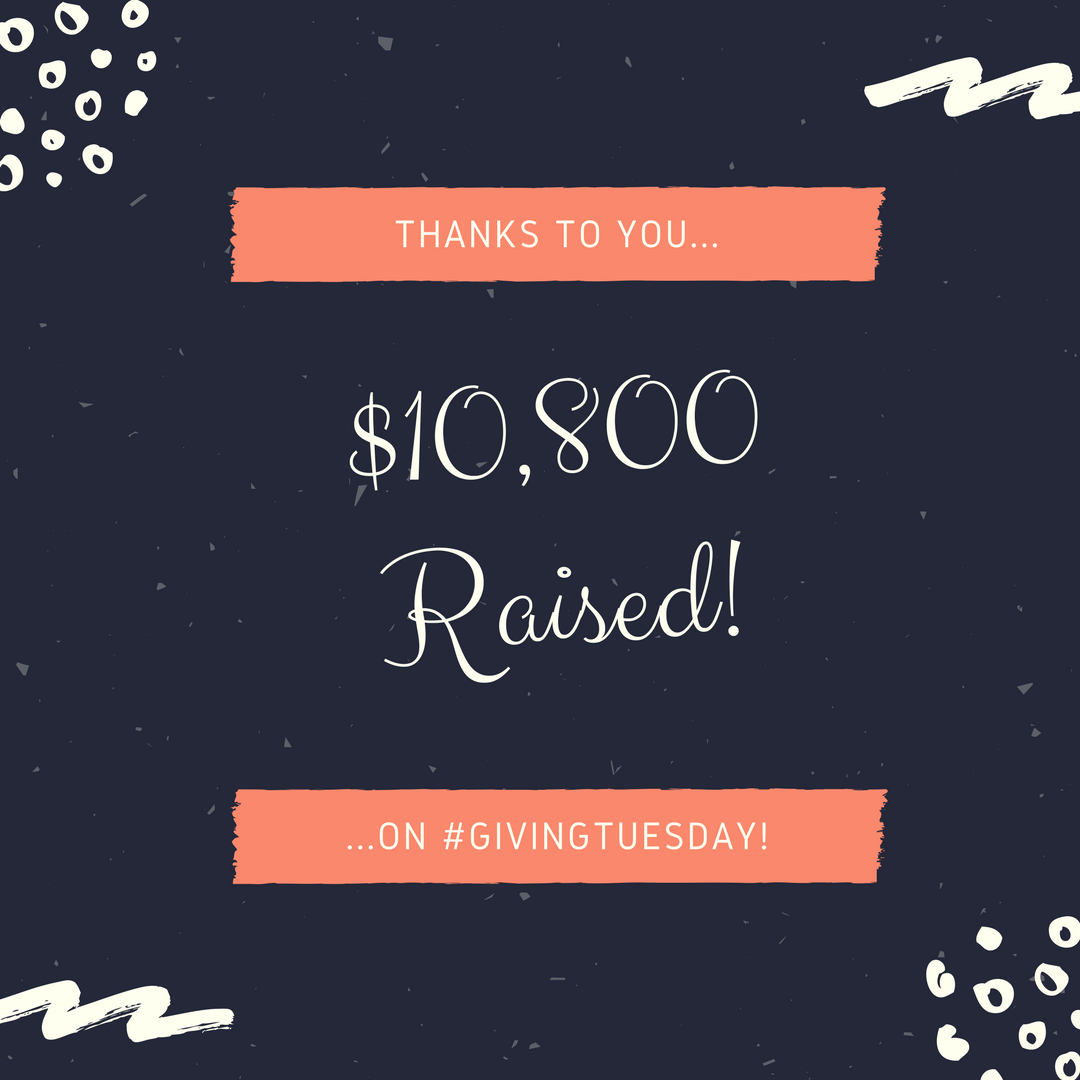 #GIVINGTUESDAY Final Total.png