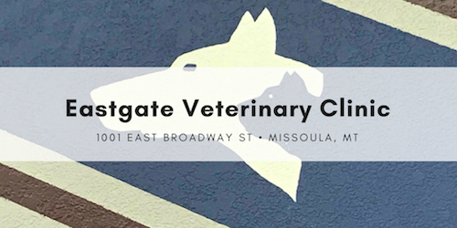 Eastgate Veterinary Clinic.jpg
